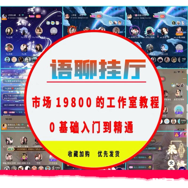 语音厅挂机项目语聊语音全套视频教程零基础创业副业网赚矩阵麦序