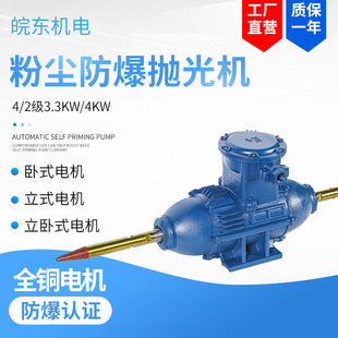 3.3kw 2极粉尘防爆抛光机 112M 抛 4千瓦双速隔爆型台式 YFB 新品