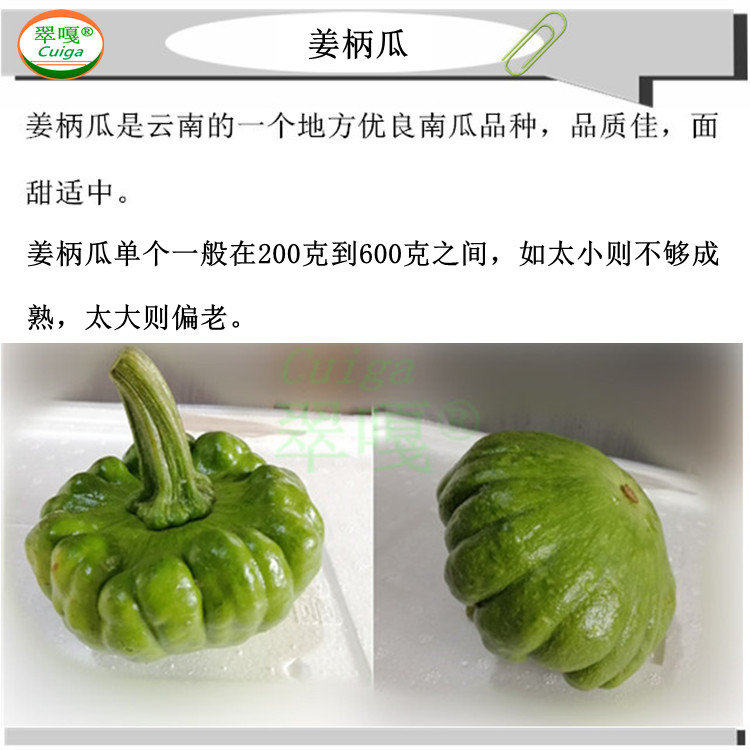 新鲜云南姜柄瓜 翠绿嫩小南瓜面甜适中好品种 翠嘎蔬菜任买满包
