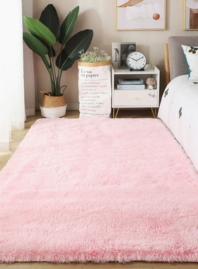 地垫卧室床边地毯粉色少女床边毯长绒毛家用房间客厅全满铺可定制
