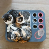 Кошачья доска многофункциональная дразнивая кошачья игрушка с высокой плотностью гофрированной гофрированной бумаги дразнящая кошка кошка