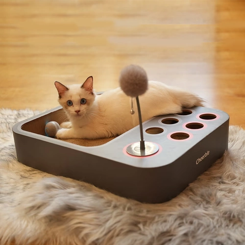 Кошачья доска многофункциональная дразнивая кошачья игрушка с высокой плотностью гофрированной гофрированной бумаги дразнящая кошка кошка