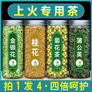 金银花桂花菊花蒲公英泡水喝的茶茶非去火清热解毒金桂花干养生茶