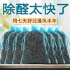 茶叶梗去甲醛家用装修铁观音茶叶枝新房新车除味去味吸甲醛茶叶根