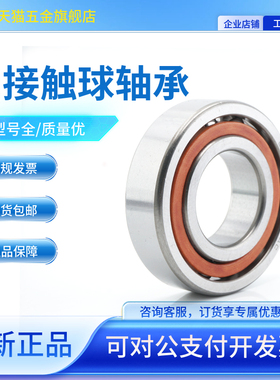 角接触球轴承7300 7301 7302AC 7303 7304AC 7305AC 7306 7307AC