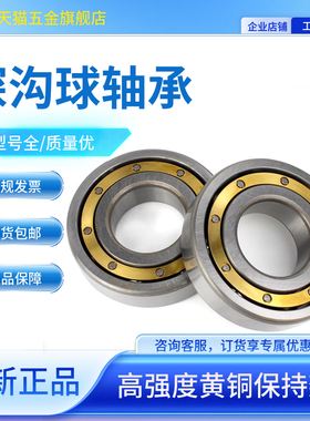 哈尔滨铜保电机专用轴承6309M 6310M 6311M 6312M 6313M轴承