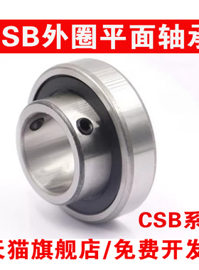 外圈平面轴承带顶丝CSB202 203 204 205 206 207 208 209 210带台