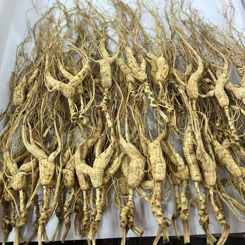 东北野生人参长白山野山参25年20年30年林下参干人参山参籽货礼盒