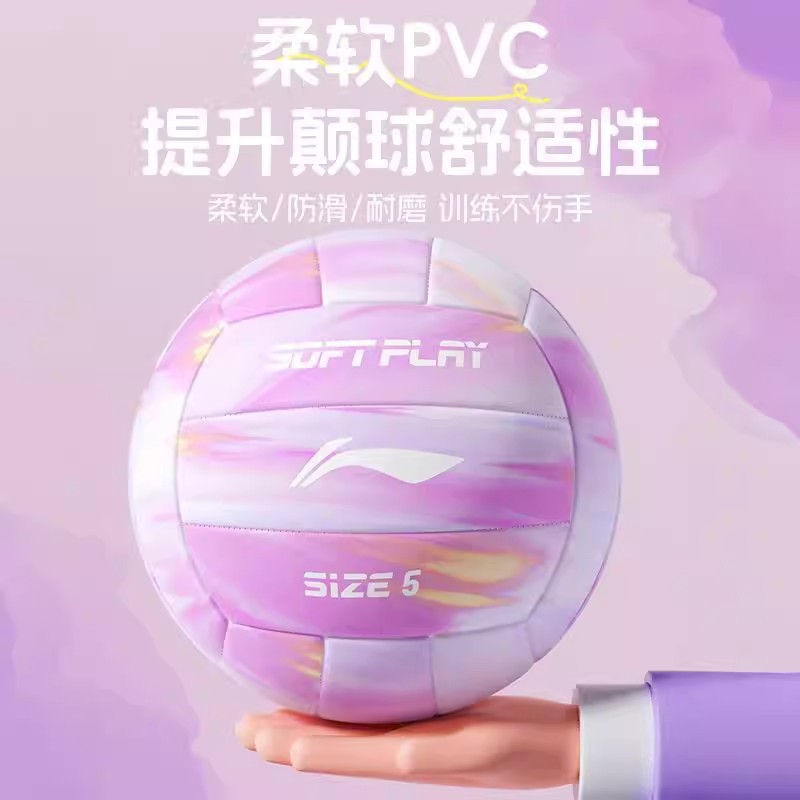 排球训练专业少年比赛成人学生