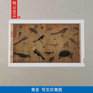 高清原大五代黄筌写生珍禽图国画工笔画昆虫鸟雀线描微喷装 饰画