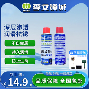 李文锁城家用金属品除锈润滑多功能清洗门轴合页门锁清洗剂