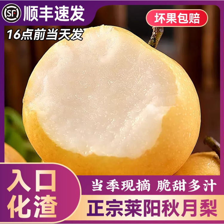 秋月梨礼盒装山东莱阳冰糖梨子