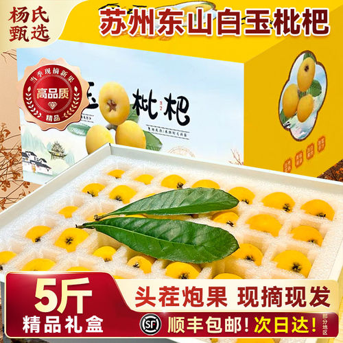 正宗苏州东山白玉枇杷新鲜
