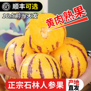 云南石林人参果新鲜水果圆果树上熟特大果礼盒人生果官方旗舰店