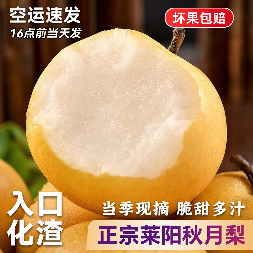 秋月梨礼盒装山东莱阳冰糖梨子