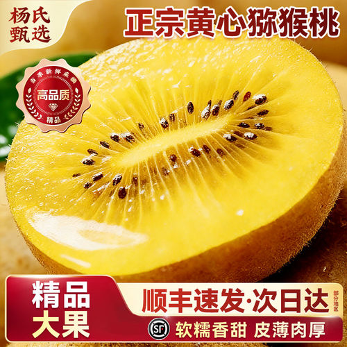 黄心猕猴桃奇异果金果