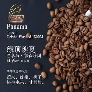 三夜咖啡巴拿马詹森庄园绿顶瑰夏日晒轻度烘焙袋装精品手冲咖啡豆