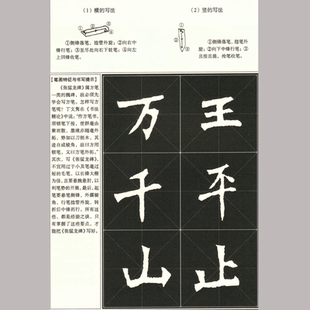 资料91张 魏碑楷书 高清电子版 教程入门基础培训 752M 张猛龙碑