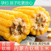 6根玉米棒软糯秋天 即食甜糯粗粮代餐孕妇非转基因 味道真空包装