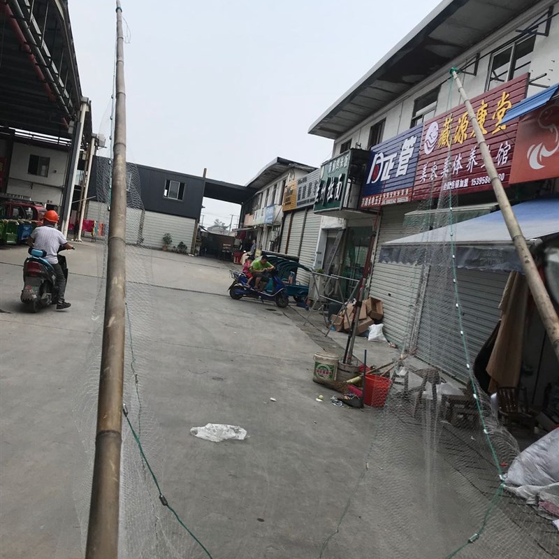 高货速发绍兴夹夹网竹夹网竹竿网老式月亮网挑网尼龙丝网强盗网捕