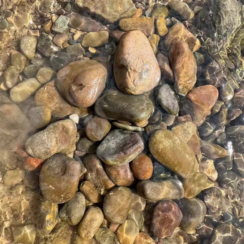 现货原生天然溪流石小石头子鱼缸造景铺路花盆装饰豆石鹅卵石乌龟