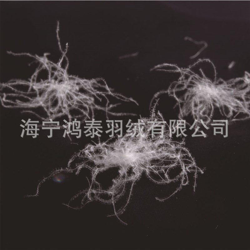 速发羽绒工厂国标70纯白高绒度松蓬鸭纺织羽毛羽绒被填充物原材料