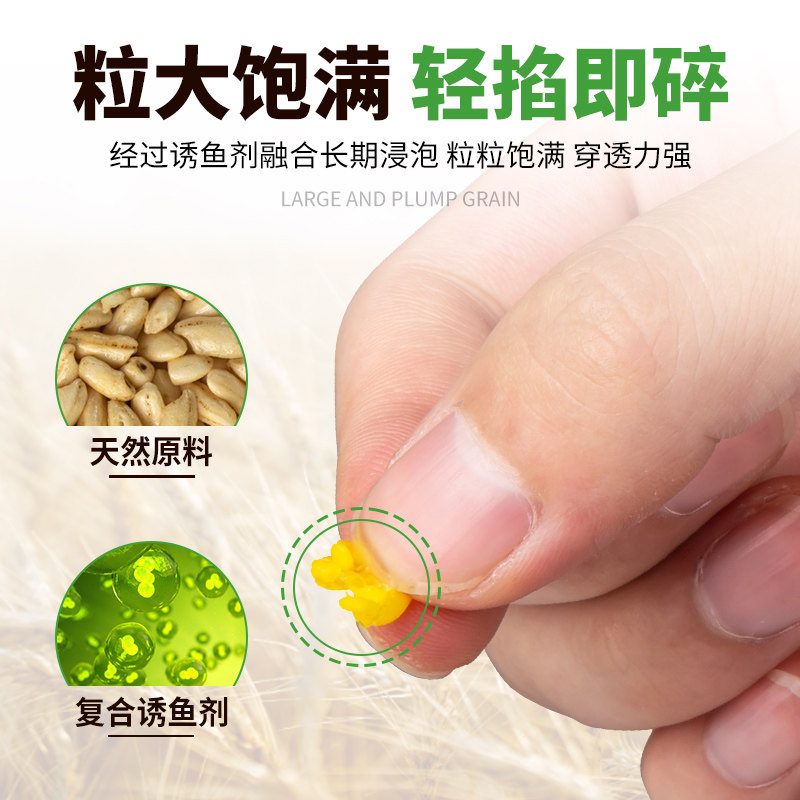 速发谷麦小麦钓铒料钓鱼饵麦粒鲫鱼鲤鱼鲢鳙野钓打窝麦子窝料鱼食