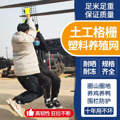 现货塑料网格养鸡围栏网鱼塘养殖防护栏菜地果园栅栏隔离拦鸡网圈