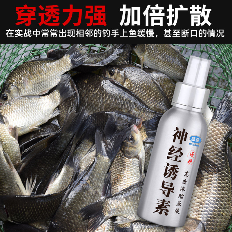 速发钓鱼小药dmpt神经诱导素野钓鲫鱼开口剂诱鱼添加剂黑坑饵料鱼