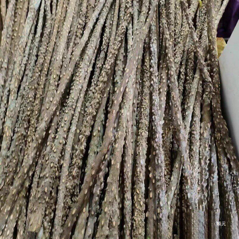速发花椒木花椒木画眉鹦鹉鸟站棍站杆磨爪棍杠成年