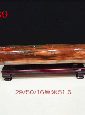 现货天然原石树化玉新疆木化石硅化木客厅玄关办公室招财收藏精品