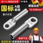 国标DT镀锡铜鼻子接线端耳