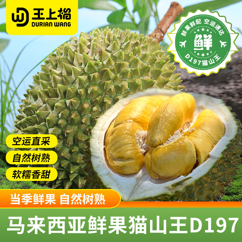 【鲜果预售】王上榴马来西亚新鲜猫山王榴莲树熟榴莲顺丰包邮D197