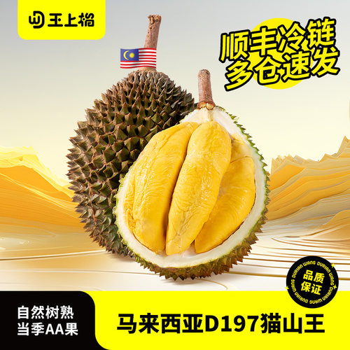 王上榴马来西亚D197猫山王榴莲