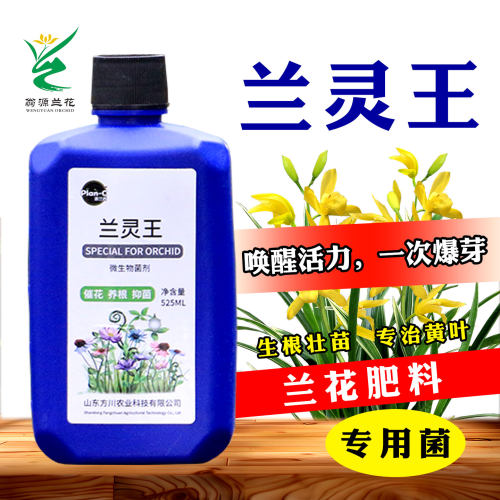 兰花专用营养液肥料改善土壤