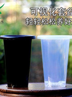 简易兰花盆塑料套盆黑色塑料盆方便懒人观察白色透明花卉绿植套盆