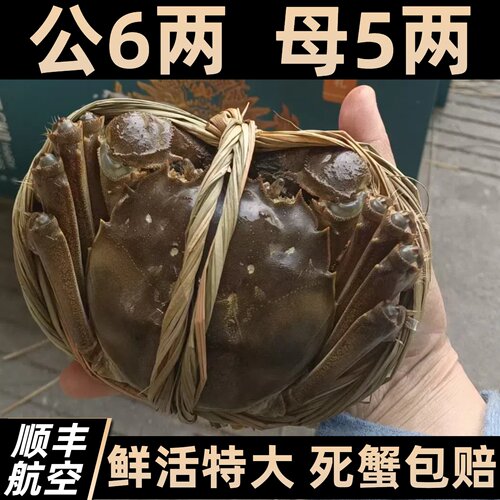 苏州阳澄大闸蟹中秋国庆旗舰礼盒