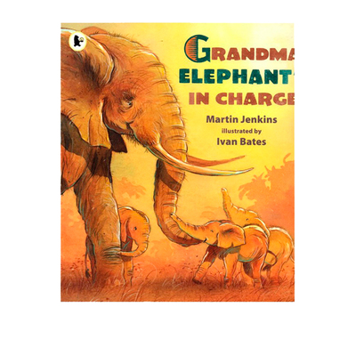 英文原版绘本 Grandma Elephant's In Charge 小学STEM科普自然百科读物 儿童自然故事书 彩图 Walker Nature Story