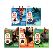 Alphabet 100选6 柯林斯少儿英语练习册附答案 Number Phonics Collins Scholastic 学乐成功练习册 英文原版 Writing Success