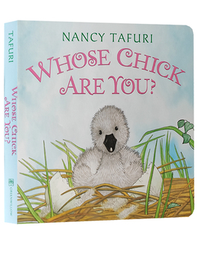 英文原版 Whose Chick Are You 纸板书 凯迪克大奖作家Nancy Tafuri 低幼宝宝启蒙故事绘本思维拓展
