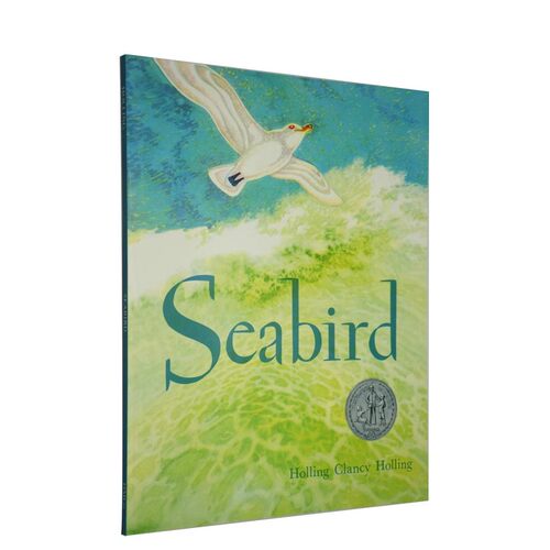 英文原版Seabird海鸟1