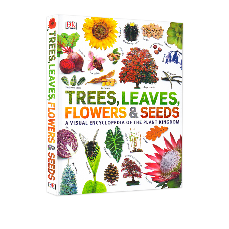 英文原版精装全彩大开本