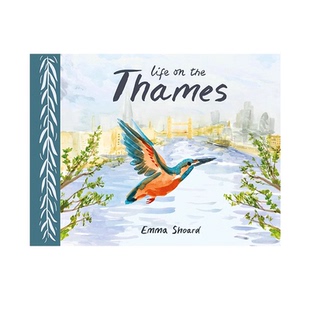 英文原版 Life on the Thames 泰晤士河上的生活 大开本彩绘 探寻晤士河孕育的人类动植物 Emma Shoard