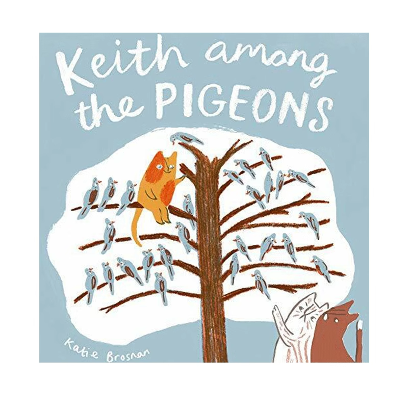 英文原版 Keith Among the Pigeons 鸽群中的Keith 猫和鸽子 接纳差异 儿童绘本 Katie Brosnan