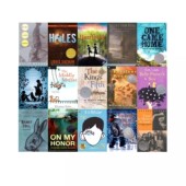 阿加莎 网 儿童文学小说 Charlotte 蓝思值610 1050L Holes 90选3 纽伯瑞金银奖小说 夏洛特 奇迹男孩 Wonder 别有洞天 Web