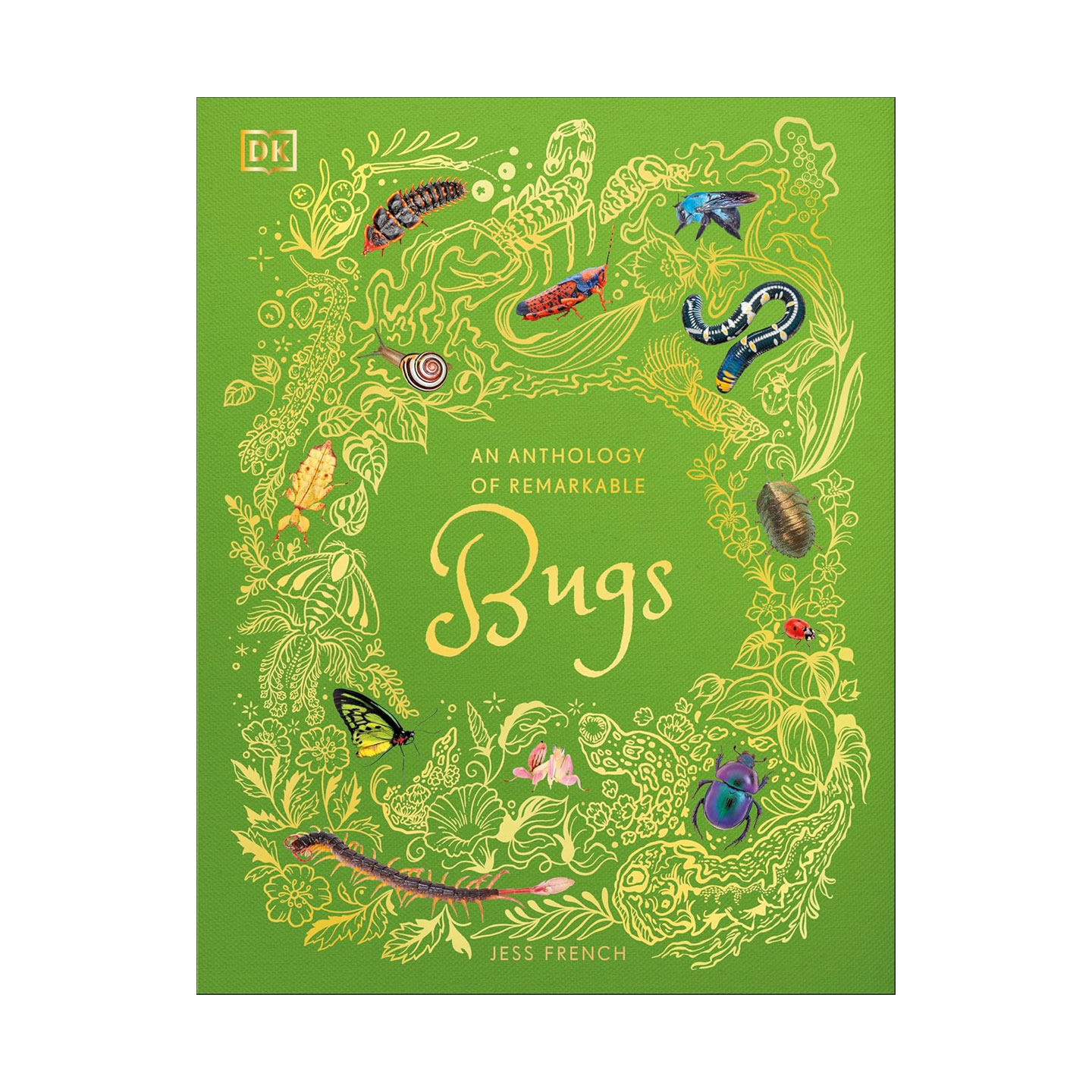 预售 DK典藏博物馆系列 非凡昆虫选集 DK An Anthology of Remarkable Bugs 儿童科普读物 精装收藏版