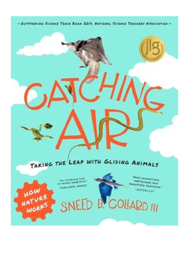 英文原版Catching AirTaking the Leap with Gliding Animals 与滑翔动物一起飞跃 Tilbury House 获奖绘本 自然是如何运作的