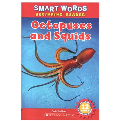 英文原版 Smart Words Beginning Reader Ocean Animals octopuses and Squid STEM百科科普 海洋动物专业词汇 小学生轻松学单词