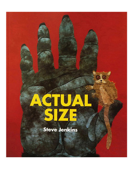英文原版 Actual Size 动物真实尺寸 儿童动物自然科普图画书 Steve Jenkins