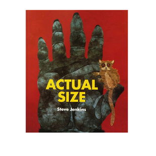 Actual Steve Size 儿童动物自然科普图画书 Jenkins 动物真实尺寸 英文原版